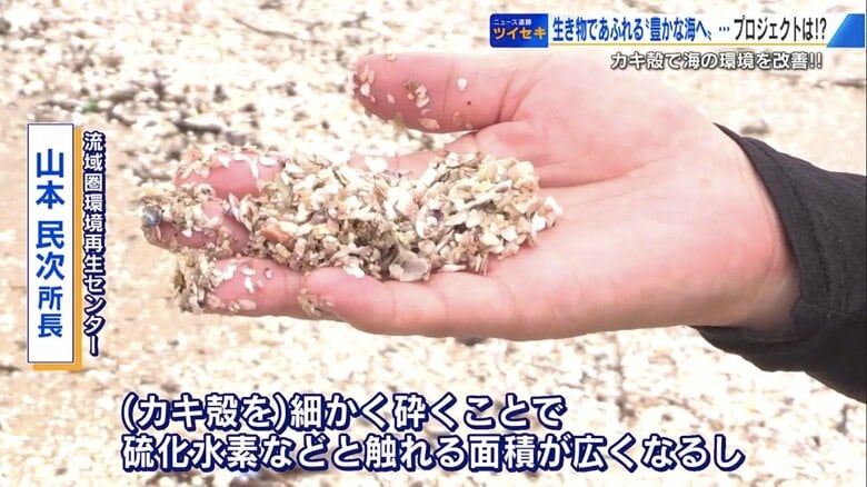 「1週間で臭いが消えた」　“カキ殻”が海をよみがえらせる！？ ヘドロ化した干潟が劇的に改善【広島発】｜FNNプライムオンライン