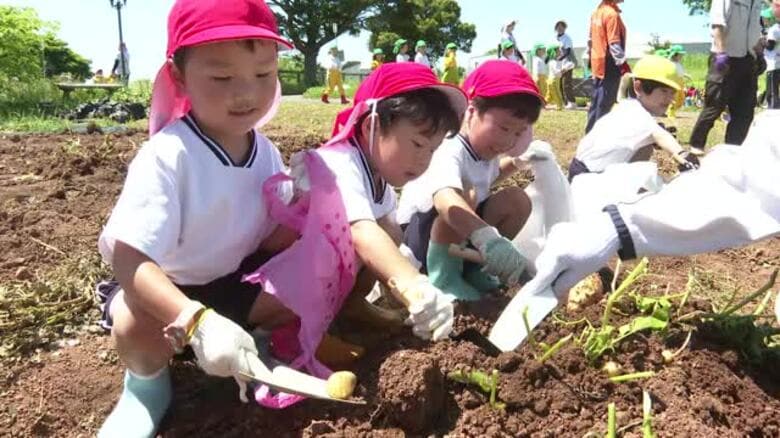 園児がジャガイモ掘り体験　あぐりの丘で食への感謝の気持ちを【長崎市】｜FNNプライムオンライン