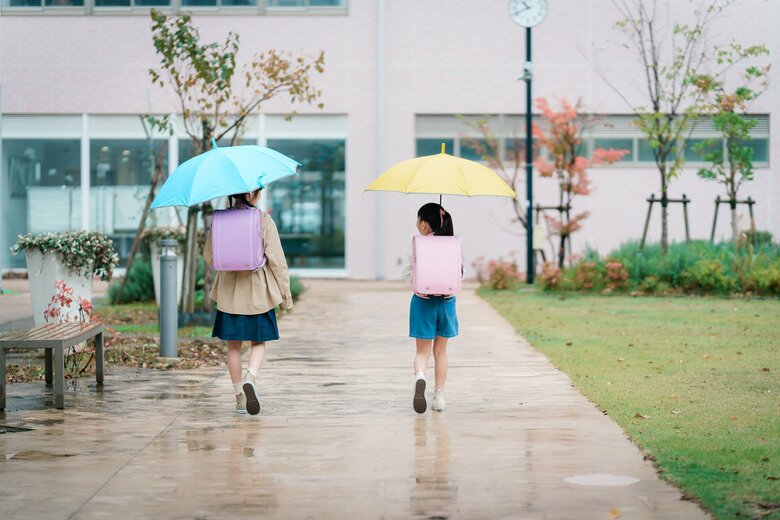 提供：株式会社ハシモト