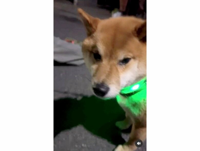 提供：カンさん