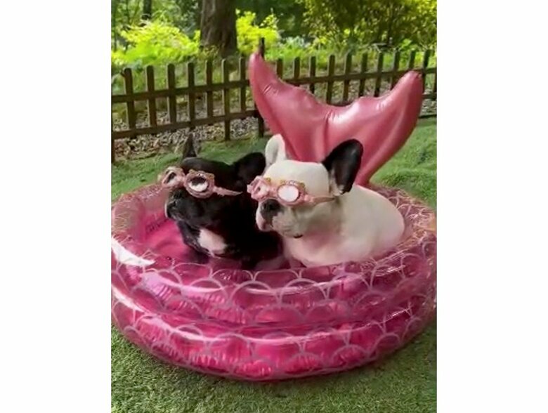 2022年のプールでの様子（提供：天使の笑顔さん）