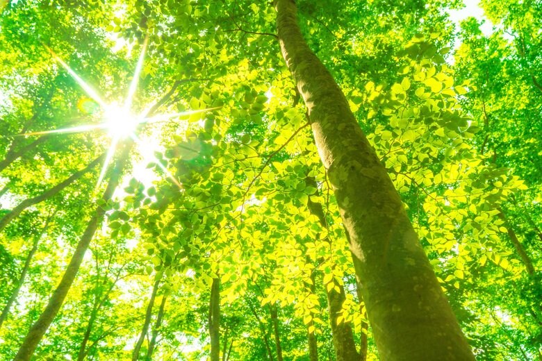 「文明は危機と対峙する中で拓かれる」“モノからデータ”の次世代を慶應大宮田教授が語る