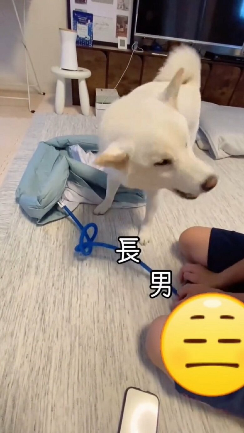 空気を入れているのを応援している