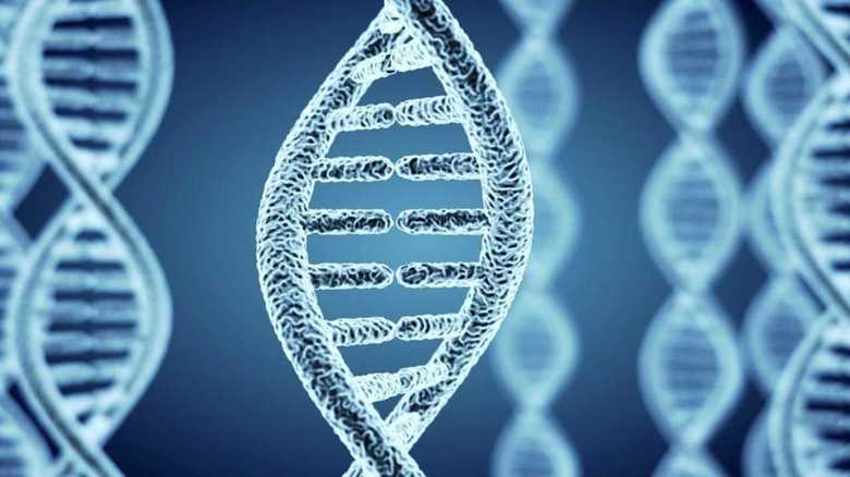 10年後のがん発症確率。予測はどこまで可能か