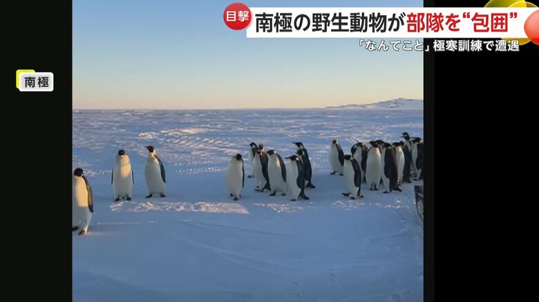 「なんてこと。素晴らしい」と感激した様子で呟いていた部隊にいた人