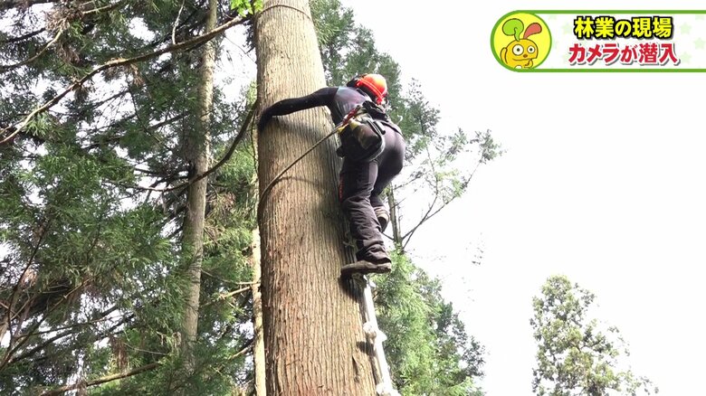 体を支えるのは一本のロープだけ…