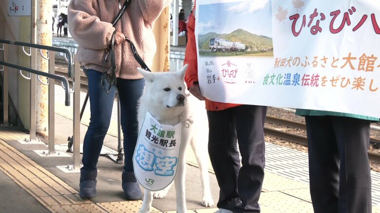 大館駅の観光駅長「想空」