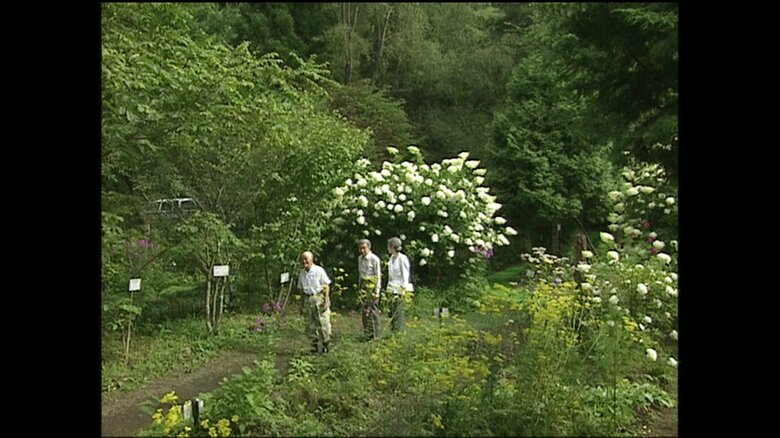軽井沢町植物園