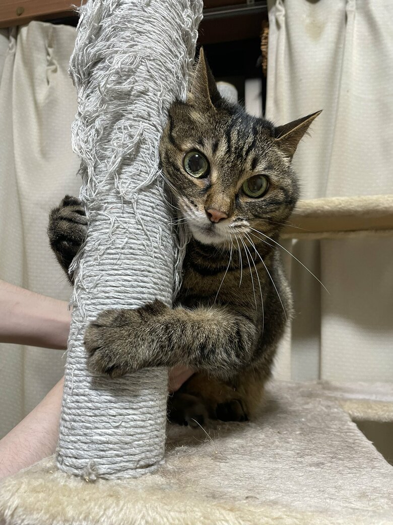 提供：えーさん