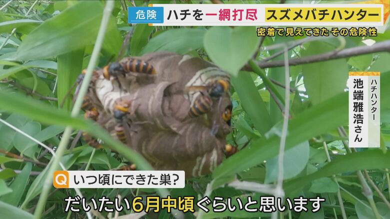 巣やハチを駆除する「スズメバチハンター」