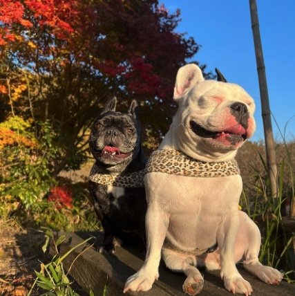 提供：天使の笑顔さん