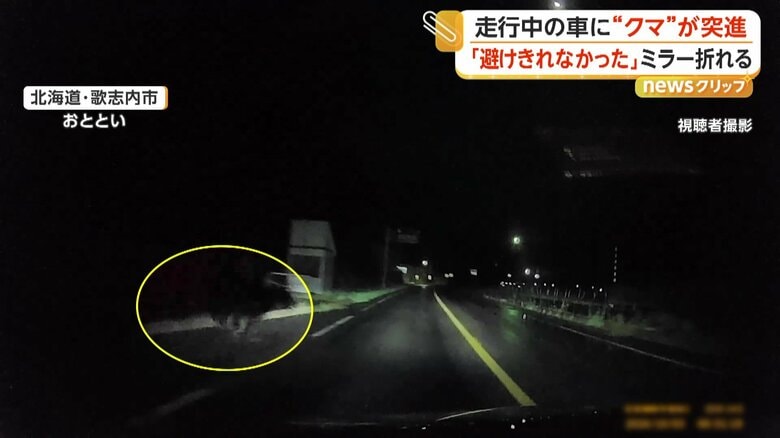 “クマ”が道路に飛び出す瞬間