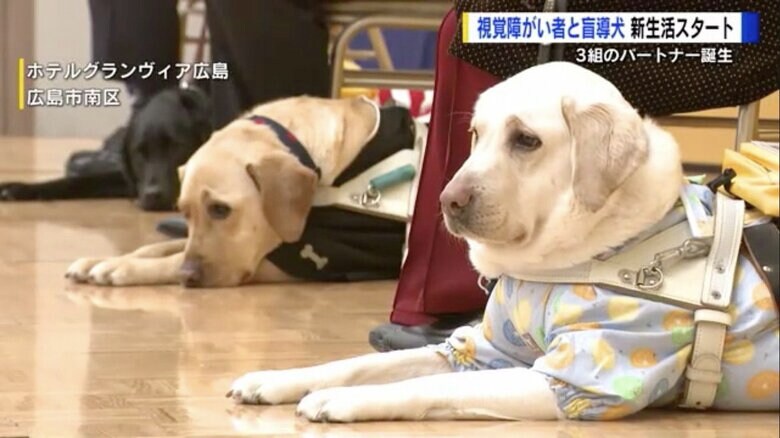 新たなパートナーとして出発式に参加した盲導犬3頭