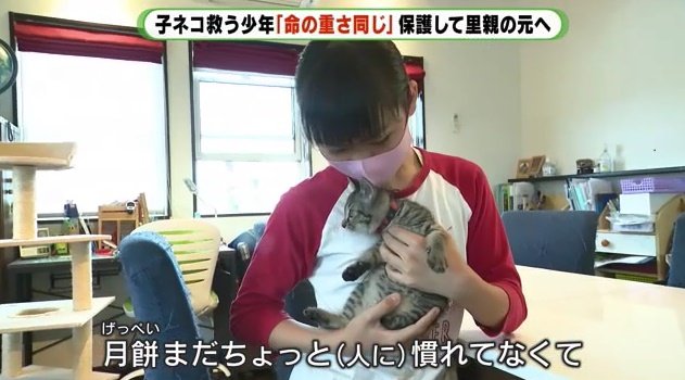 まだ人慣れしていない子ネコ（月餅）を優しく抱く朔さん
