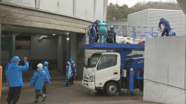 約110メートルの観察用プールへ到着