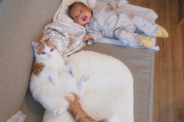 提供：こなつさん