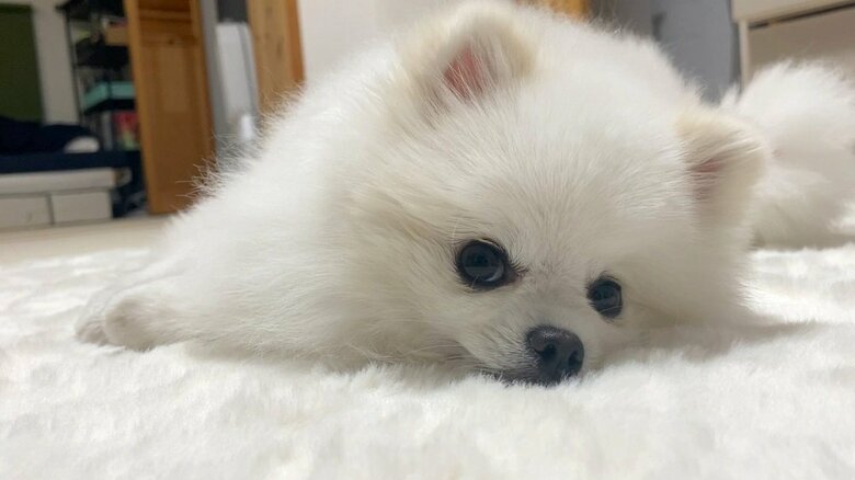 ふてくされている