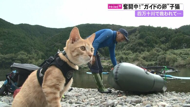 ボートの準備を見守るチャビ