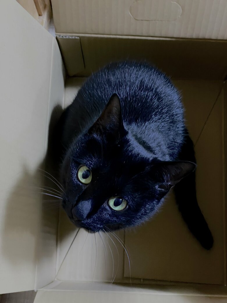 提供：マクーさん