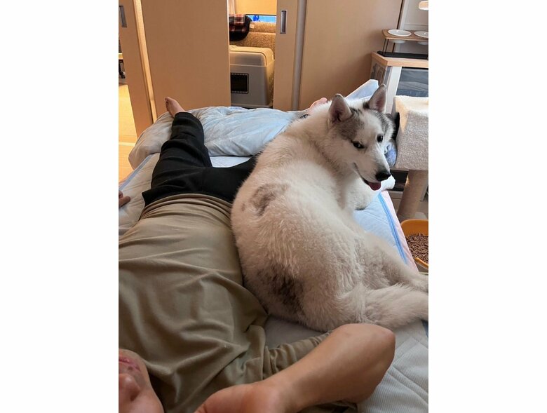 提供：斑柄兄妹（銀太と緋那子）さん