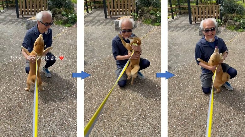 ウォーキングおじさんにも大好きを伝えるマメちゃん