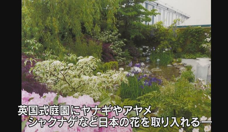 英国式の庭園にヤナギやアヤメ、シャクナゲなど日本の花を取り入れる
