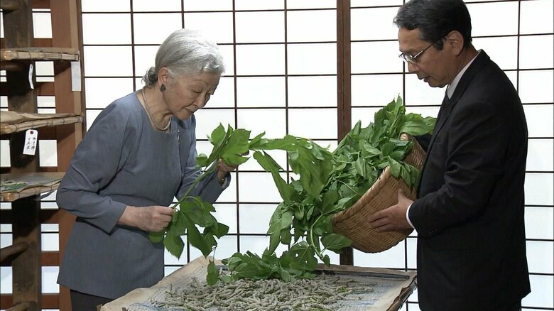 平成29（2017）年５月　ご給桑をされる皇后・美智子さま