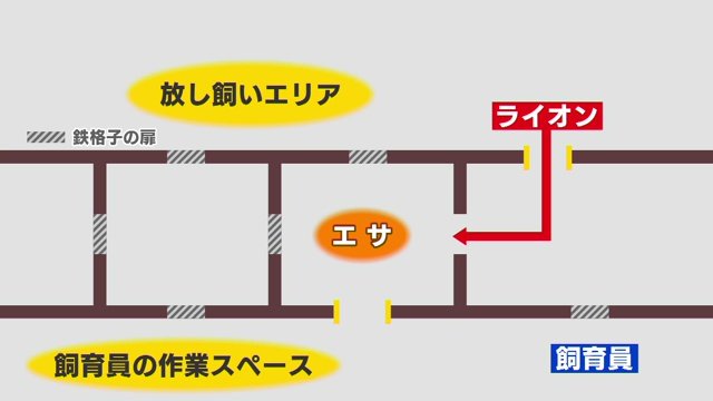 監視カメラには、気付いて閉めようとする姿が