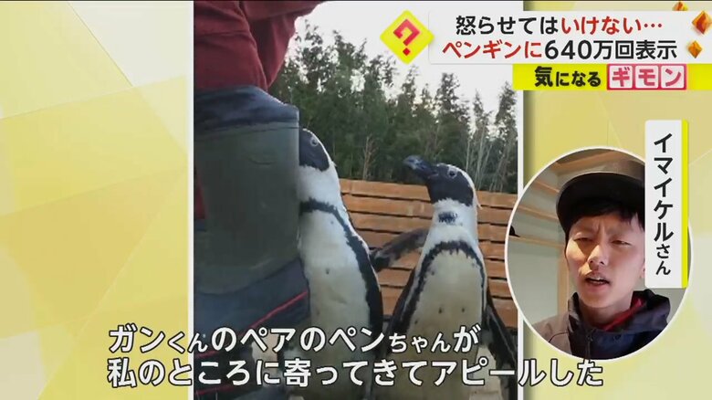 噛みつかれた時の様子について話すイマイケルさん