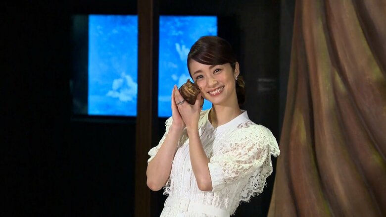 上戸彩さん 「特別展アリス」オープニングイベント