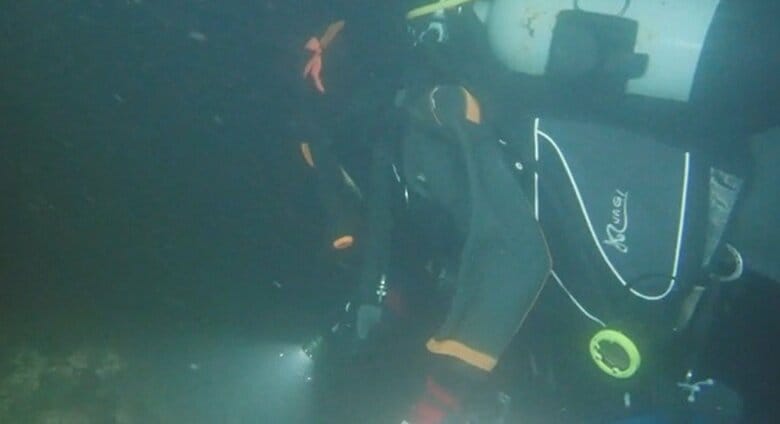 提供：南三陸町自然環境活用センター