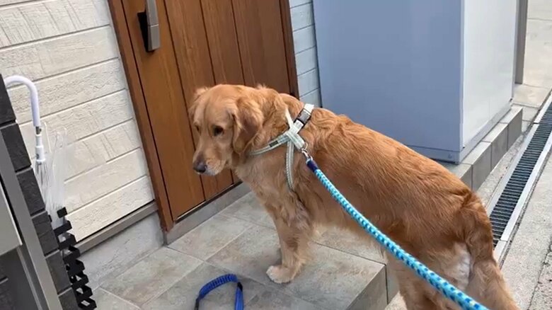 ドアの外には、友達のラックスくんが！