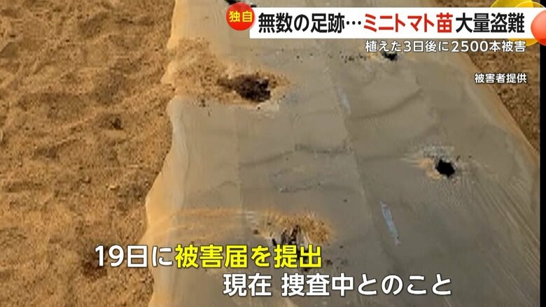 地元の警察署には事件が発覚した19日に被害届を提出。現在、捜査中だという警察