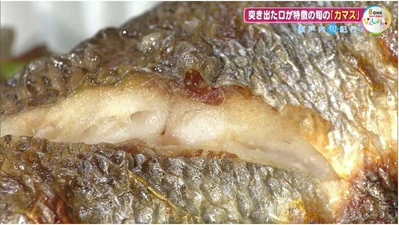 カマスの塩焼きの断面