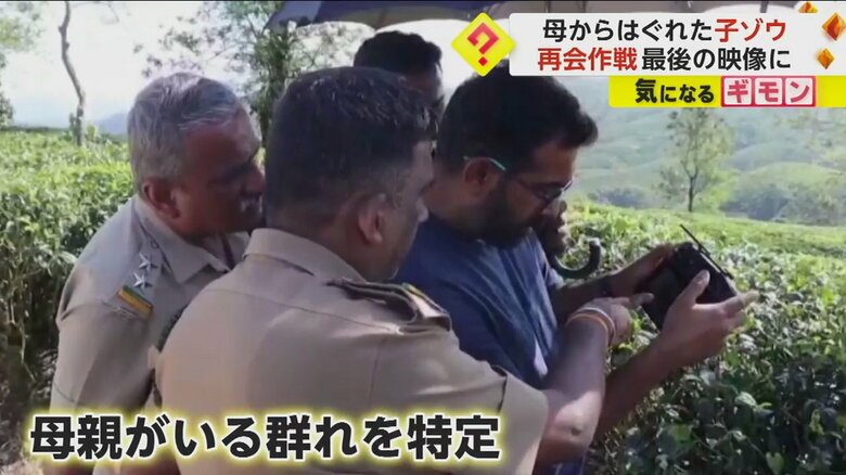 ドローンを使い、母親がいる群れを特定した野生動物の監視員たち