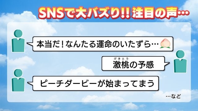 このブロックの組み合わせにSNSも盛り上がる