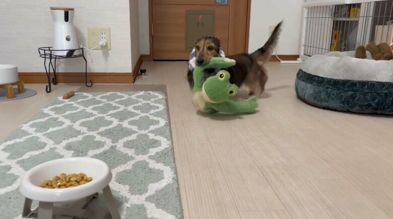 提供：るのんさん