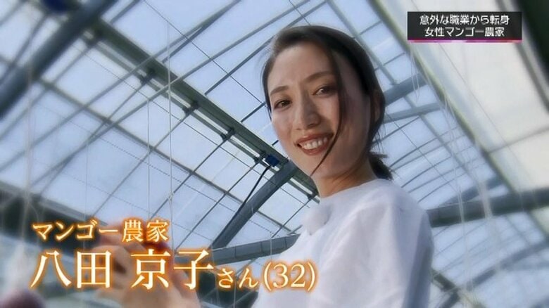 マンゴー農家・八田京子さん