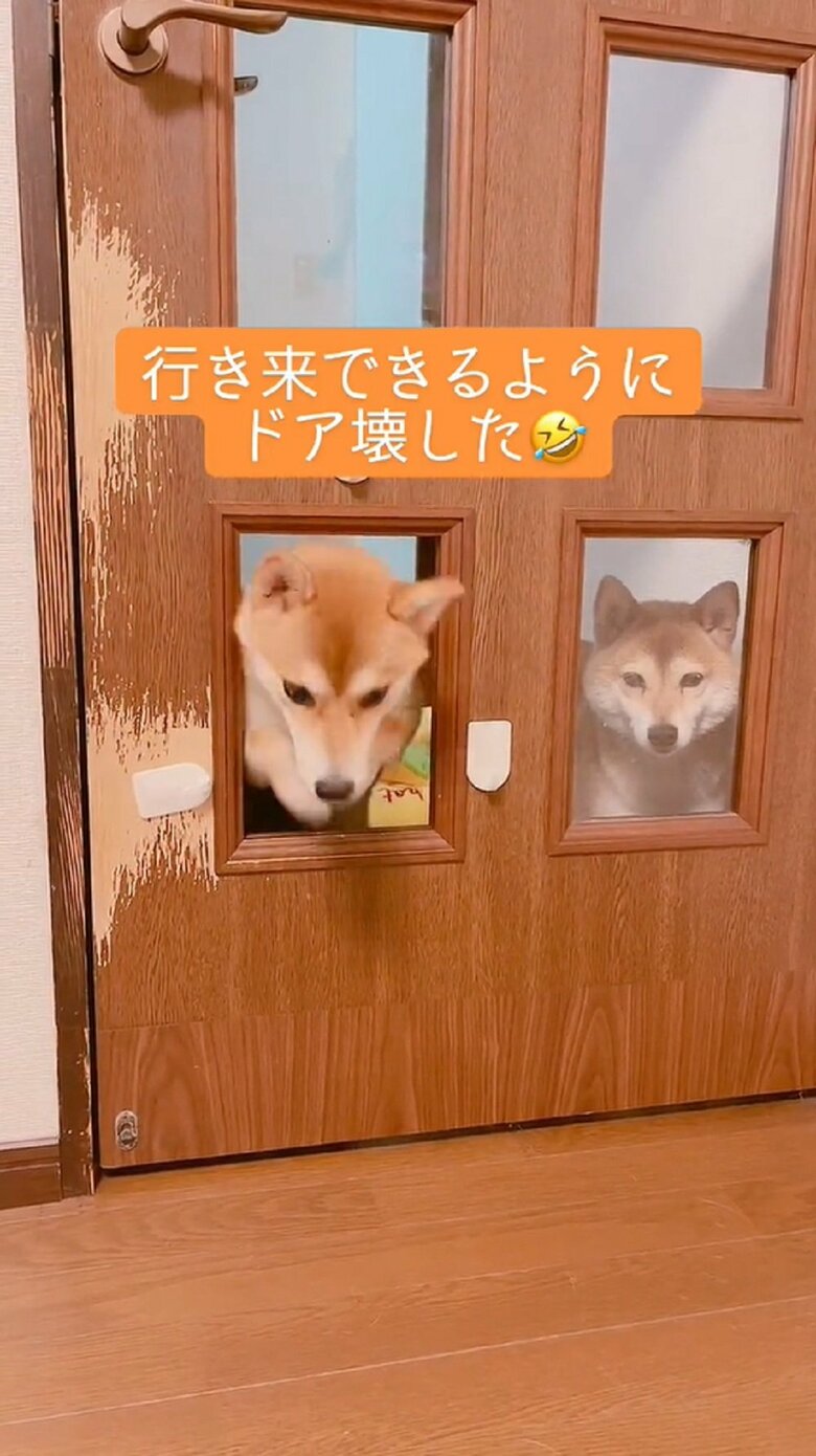 まずはミントちゃんが…