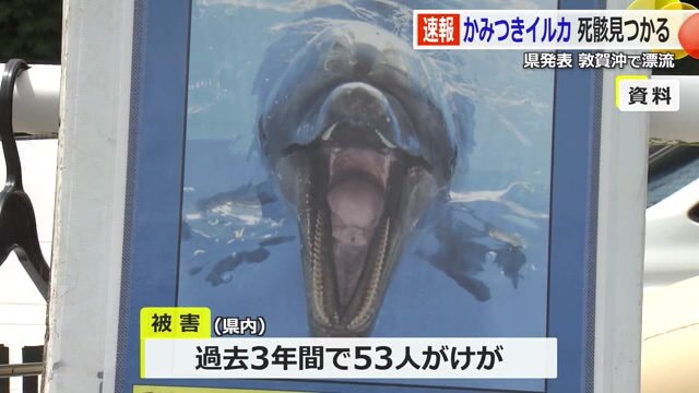 行政などが注意喚起していた