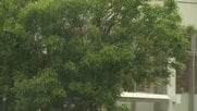 横浜市中心に神奈川県で1万軒以上停電　原因は調査中も横浜市でゲリラ雷雨　竜巻注意情報や大雨警報が出ている地域も
