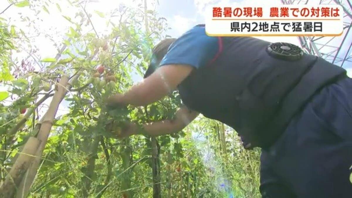 https://fnn.ismcdn.jp/mwimgs/5/b/1200/img_5bbccb008ede392704a11391a1c0cd6a75965.jpg