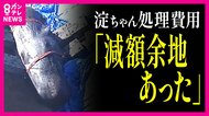 大阪湾で死んだクジラ「淀ちゃん」処理費用　「約1400万円減額の余地あり」　外部専門委が指摘　大阪市長は「合理的な手法」