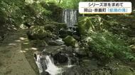 【涼を求めて】１１）奈義町「蛇淵の滝」白い水しぶきに涼み…特産・なぎビーフなどグルメに舌鼓【岡山】