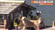 四万十市の沈下橋も大勢の観光客でにぎわう　川遊びを楽しむ人や屋形船に乗るワンちゃんも
