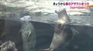 ガソリン価格が気になる3連休　近くの水族館が人気に　アクアマリンふくしまでは「アザラシまつり」