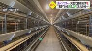 「終わったな」鳥インフルでニワトリがゼロに… “悪夢”から約1カ月　簡単には進まない再建【愛媛発】