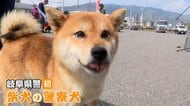「小さなおまわりさん」柴犬が初めて警察犬に任命　誇らしげな姿の「つぶ」は記者の質問にこの反応　岐阜県警