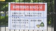 「クマがまだいる可能性が」公園内で目撃　体長1メートル程の成獣か　国営アルプスあづみの公園大町・松川地区が臨時閉園　夜は監視カメラに度々クマが映るも日中の目撃は今季初めて