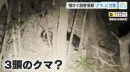 広島市佐伯区で親子クマ３頭？　「冬眠あけはエサを求めて活動する時期」広島県内でクマの目撃情報相次ぐ